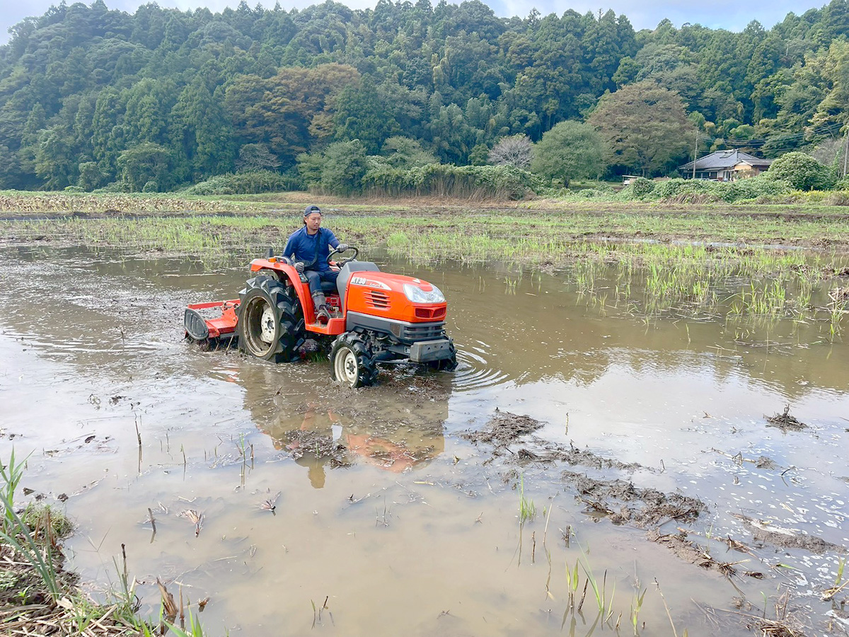 整備が進んだ蓮根田